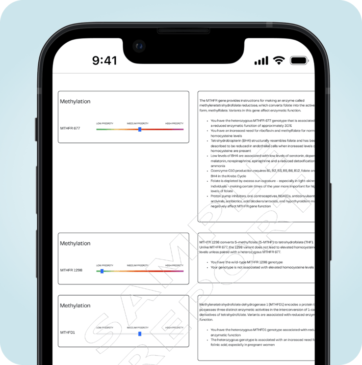 key-features-methylation (1)